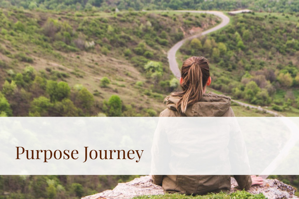 Purpose Journey